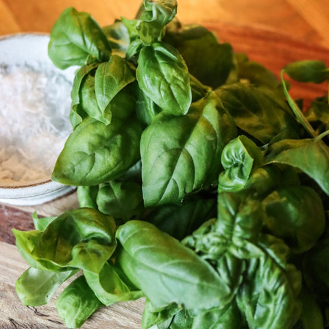 Basilika ca 40 g - Green and Growing
