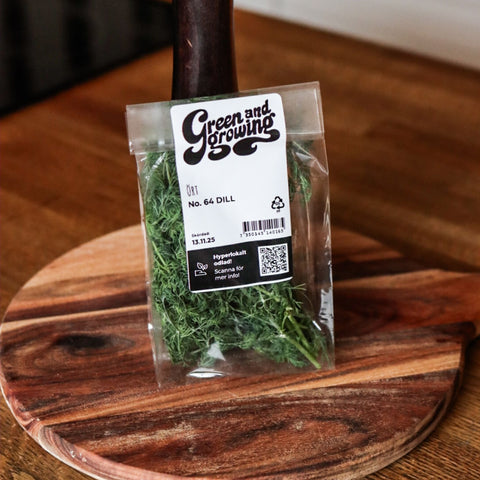 Dill ca 28 g - Green and Growing