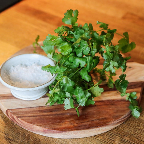 Koriander ca 30 g - Green and Growing