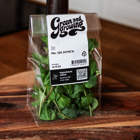 Mynta ca 28 g - Green and Growing