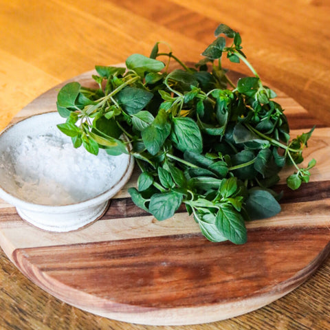 Oregano ca 25 g - Green and Growing