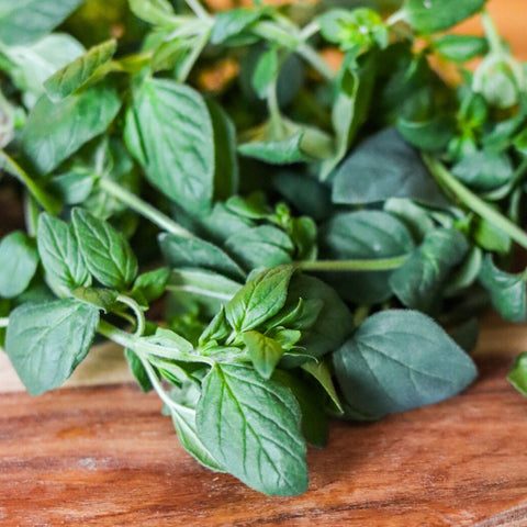 Oregano ca 25 g - Green and Growing