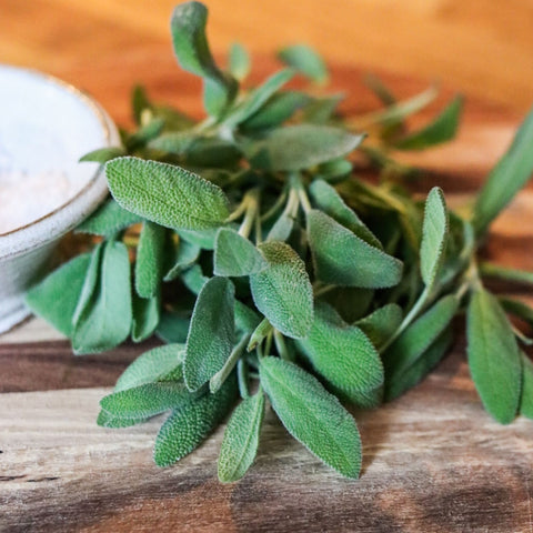 Salvia ca 28 g - Green and Growing