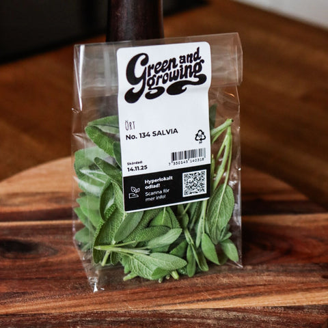 Salvia ca 28 g - Green and Growing