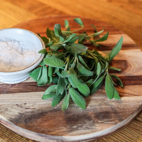 Salvia ca 28 g - Green and Growing