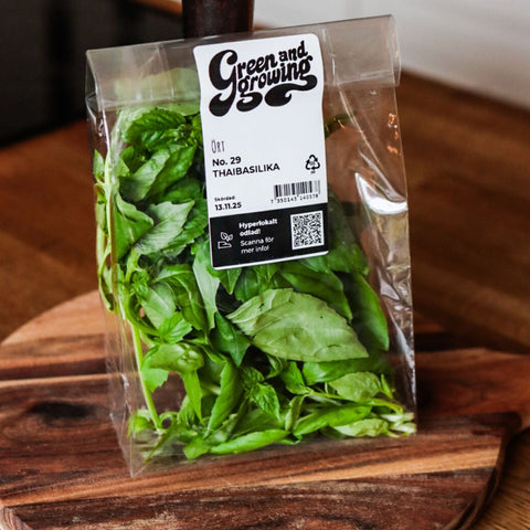 Thaibasilika ca 28 g - Green and Growing