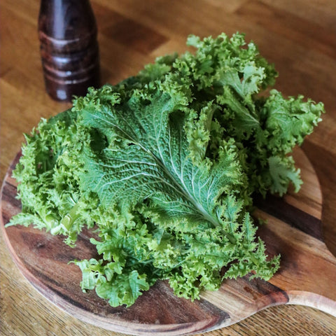 Wasabi Ruccola ca 70 g - Green and Growing