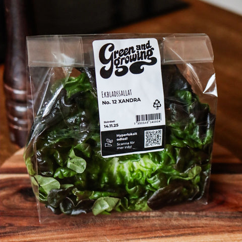 Sallat Xandra ca 100 g - Green and Growing