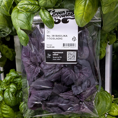 Röd Basilika ca 40 g - Green and Growing