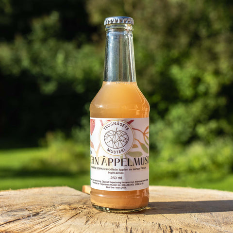 Rehn Äppelmust Alice 250 ml - Tegsnäsets Musteri