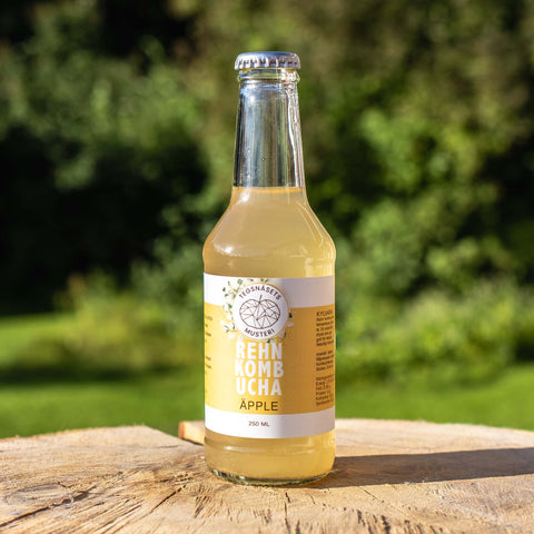 Rehn Kombucha Äpple 250 ml - Tegsnäsets Musteri