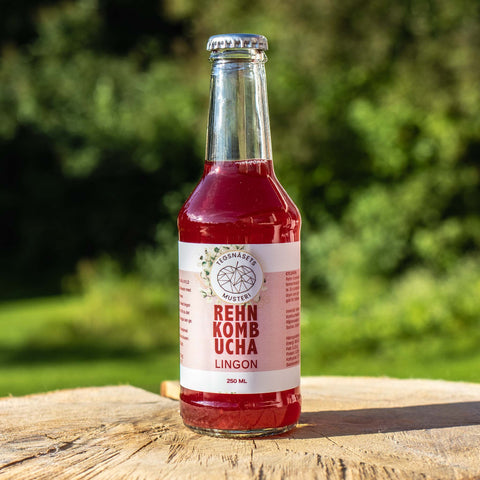 Rehn Kombucha Lingon 250 ml - Tegsnäsets Musteri