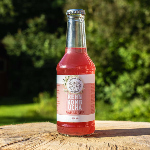 Rehn Kombucha Rabarber 250 ml - Tegsnäsets Musteri