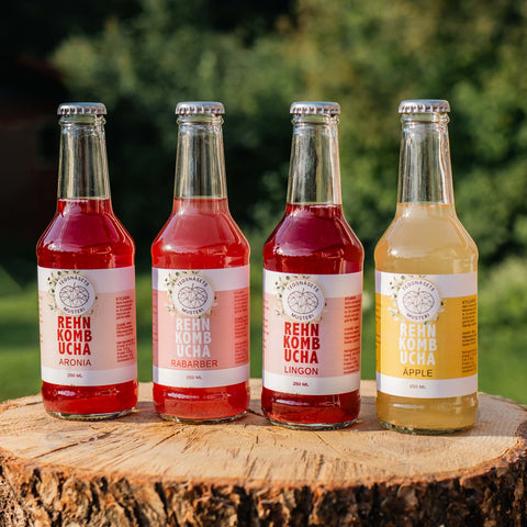 Rehn Kombucha Äpple 250 ml - Tegsnäsets Musteri