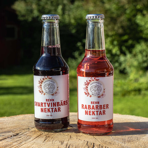 Rehn Rabarber Nektar 250 ml - Tegsnäsets Musteri