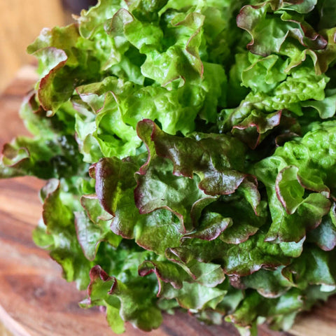 Sallat Mineral ca 100 g - Green and Growing