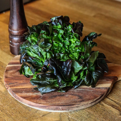 Sallat Xandra ca 100 g - Green and Growing