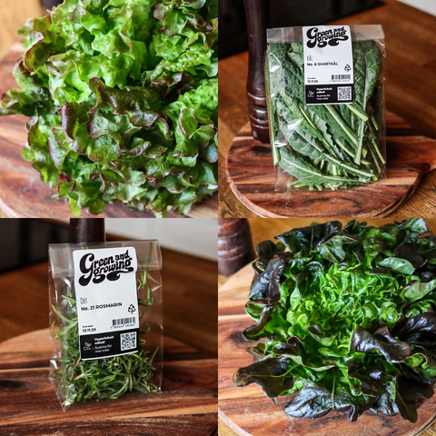 Grön mix - Green and Growing