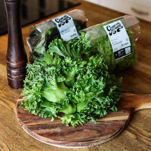 Sallat Dunand ca 100 g - Green and Growing