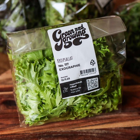 Sallat Exographie ca 100 g - Green and Growing