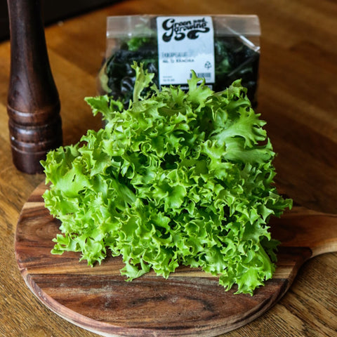 Sallat Exographie ca 100 g - Green and Growing