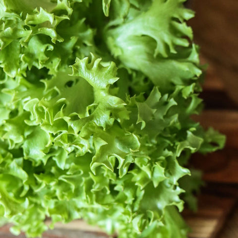 Sallat Exographie ca 100 g - Green and Growing